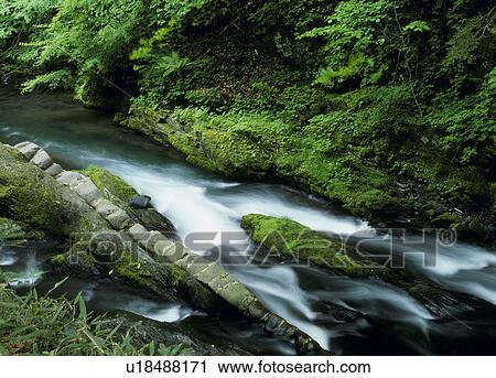 Stock Image - Yokokawa Gorge, Tatsuno, Nagano, Japan. Fotosearch