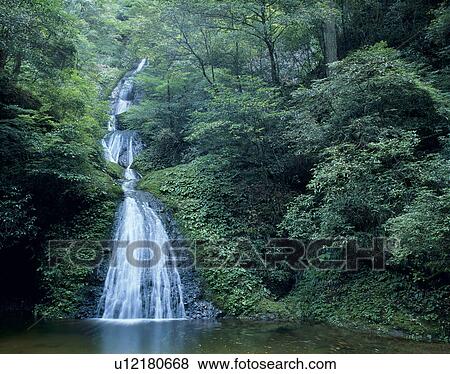 Aderanonanataki, Shinjo, Aichi, Japan View Large Photo Image Stock Photo - Aderanonanataki, Shinjo, Aichi, Japan. Fotosearch