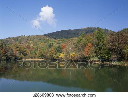 Chausuyama Highland, Toyone, Aichi, Japan View Large Photo Image Stock Image - Chausuyama Highland, Toyone, Aichi, Japan. Fotosearch