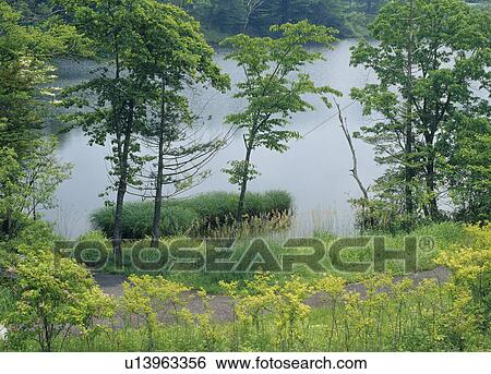 Chausuyama Highland, Toyone, Aichi, Japan View Large Photo Image Stock Photograph - Chausuyama Highland, Toyone, Aichi, Japan. Fotosearch