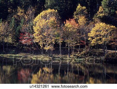 Dandoko, Shitara, Aichi, Japan View Large Photo Image Stock Image - Dandoko, Shitara, Aichi, Japan. Fotosearch