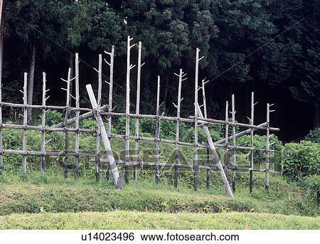 Horse Stockade, Shinjo, Aichi, Japan View Large Photo Image Stock Photograph - Horse Stockade, Shinjo, Aichi, Japan. Fotosearch