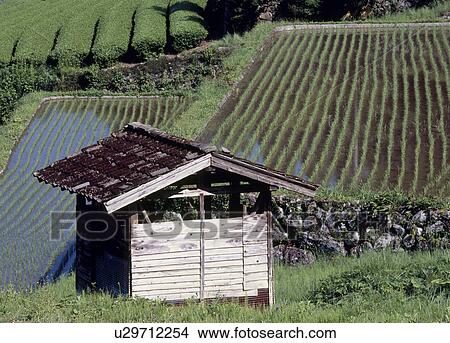 Picture - Nagaenotanada, Shitara, Aichi, Japan. Fotosearch