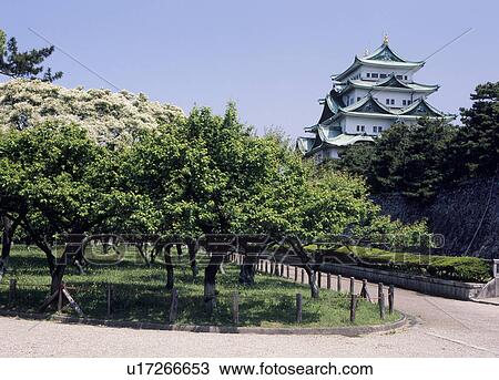 Nagoya Castle, Nagoya, Aichi, Japan View Large Photo Image Stock Image - Nagoya Castle, Nagoya, Aichi, Japan. Fotosearch