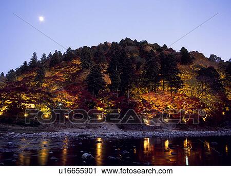 Night View of Korankei, Toyota, Aichi, Japan View Large Photo Image Stock Image - Night View of Korankei, Toyota, Aichi, Japan. Fotosearch