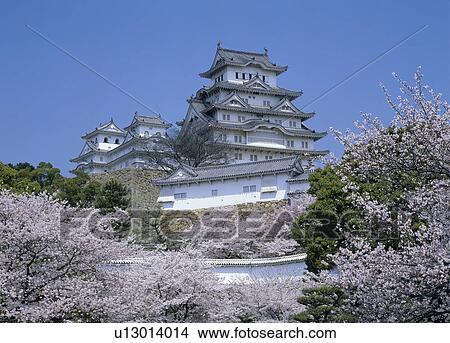 Picture - Himeji Castle, Himeji, Hyogo, Japan. Fotosearch