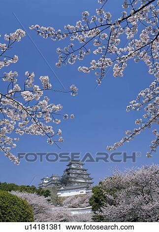 Stock Image - Himeji Castle, Himeji, Hyogo, Japan. Fotosearch
