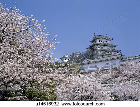 Stock Image - Himeji Castle, Himeji, Hyogo, Japan. Fotosearch