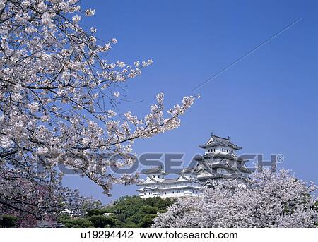 Stock Image - Himeji Castle, Himeji, Hyogo, Japan. Fotosearch