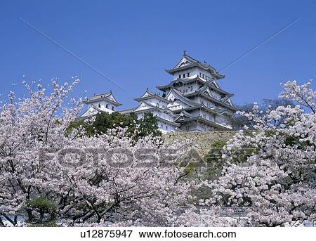 Stock Photo - Himeji Castle, Himeji, Hyogo, Japan. Fotosearch