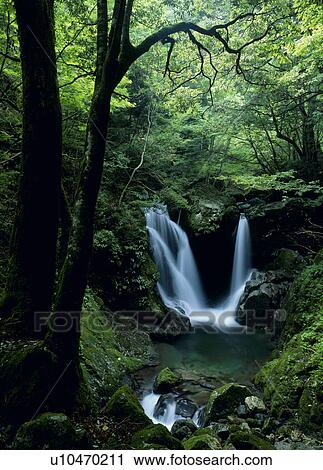 Myojin Fall, Shiso, Hyogo, Japan View Large Photo Image Stock Image - Myojin Fall, Shiso, Hyogo, Japan. Fotosearch