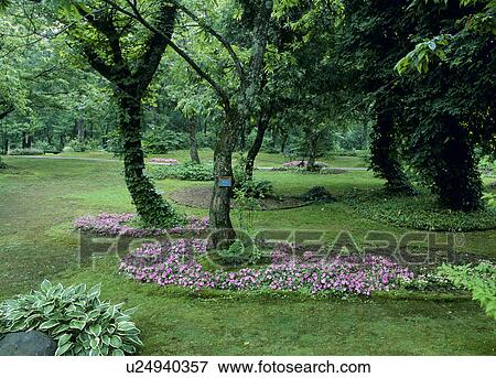 Tajima Plateau Botanical Gardens, Kami, Hyogo View Large Photo Image Stock Photo - Tajima Plateau Botanical Gardens, Kami, Hyogo. Fotosearch