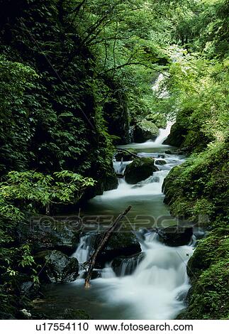 Tendaki Valley, Yabu, Hyogo, Japan View Large Photo Image Stock Image - Tendaki Valley, Yabu, Hyogo, Japan. Fotosearch