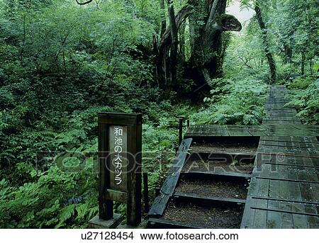 Wachi No Okatsura, Kami, Hyogo, Japan View Large Photo Image Picture - Wachi No Okatsura, Kami, Hyogo, Japan. Fotosearch