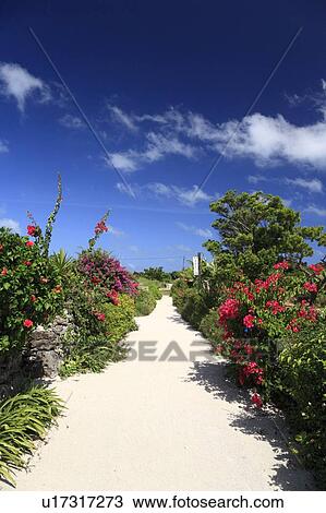 Stock Image - Alley, Taketomi, Okinawa, Japan. Fotosearch