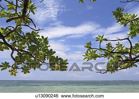 Aragusuku Beach, Miyakojima, Okinawa, Japan View Large Photo Image Stock Photograph - Aragusuku Beach, Miyakojima, Okinawa, Japan. Fotosearch