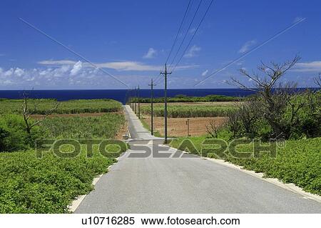 Stock Photography - Road, Hateruma Island, Taketomi, Okinawa, Japan. Fotosearch
