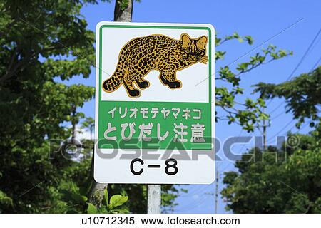 Stock Photography - Road Sign of Iriomote Wild Cat, Iriomote Island, Taketomi, Okinawa, Japan. Fotosearch