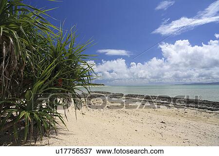 Stock Photo - Seaside, Taketomi, Okinawa, Japan. Fotosearch