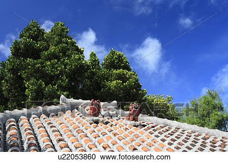Shisa, Iriomote Island, Taketomi, Okinawa, Japan View Large Photo Image Stock Image - Shisa, Iriomote Island, Taketomi, Okinawa, Japan. Fotosearch