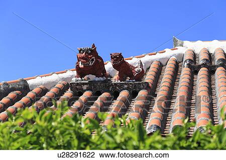 Shisa, Taketomi, Okinawa, Japan View Large Photo Image Stock Image - Shisa, Taketomi, Okinawa, Japan. Fotosearch