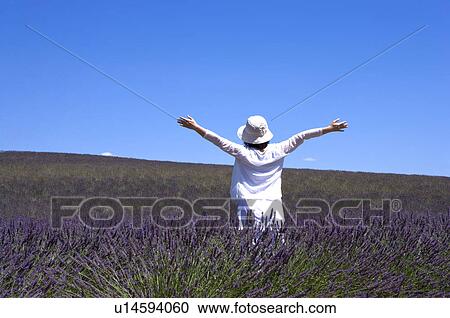 Stock Image - A woman standing in lavender field, France, Plateau De Valensole, Provence-Alpes-Cote d'Azur. Fotosearch