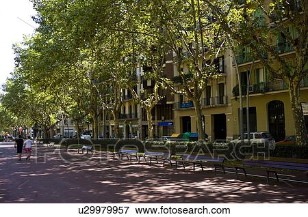 Spain, Catalonia, Barcelona View Large Photo Image Stock Photo - Spain, Catalonia, Barcelona. Fotosearch