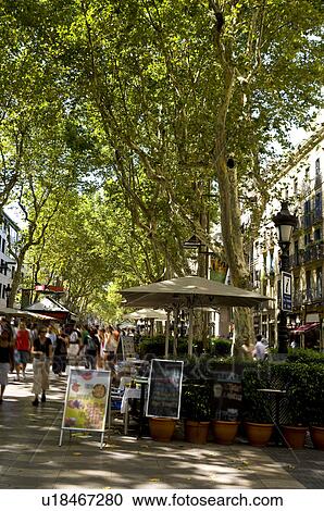 Spain, Catalonia, Barcelona, The Ramblas View Large Photo Image Stock Image - Spain, Catalonia, Barcelona, The Ramblas. Fotosearch
