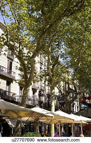 Stock Image - Spain, Catalonia, Barcelona, The Ramblas. Fotosearch