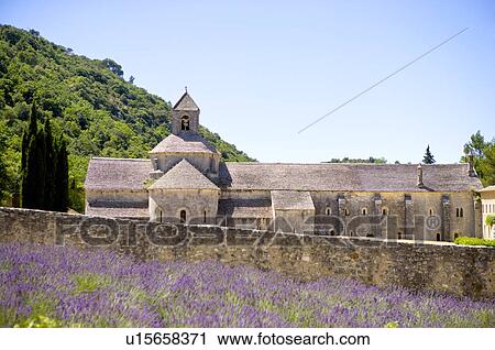 Stock Image - Abbaye de Senanque in Gordes, Provence-Alpes-Cote d'Azur, France. Fotosearch