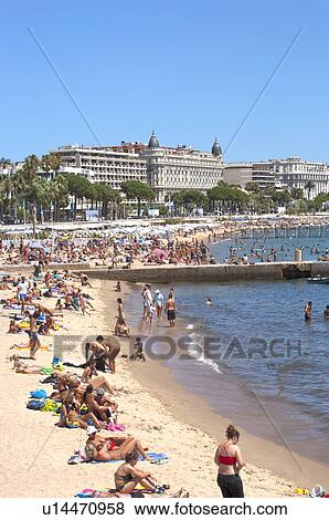 Beach and Coastline in Cannes, Provence-Alpes-Cote d'Azur, France, Europe View Large Photo Image Stock Photo - Beach and Coastline in Cannes, Provence-Alpes-Cote d'Azur, France, Europe. Fotosearch