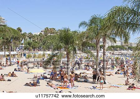 Beach, Cannes, Provence-Alpes-Cote d'Azur, France, Europe View Large Photo Image Stock Image - Beach, Cannes, Provence-Alpes-Cote d'Azur, France, Europe. Fotosearch