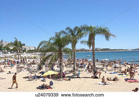 Stock Photo - Beach, Cannes, Provence-Alpes-Cote d'Azur, France, Europe. Fotosearch
