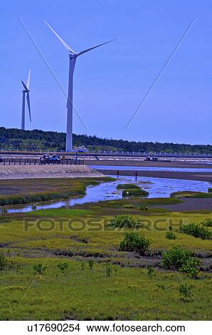 Picture - Taiwan, Taichung, Cingshui, Kaomei Wetland. Fotosearch