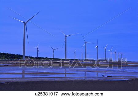 Stock Photo - Taiwan, Taichung, Cingshui, Kaomei Wetland. Fotosearch