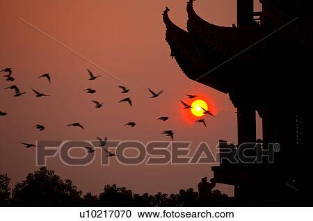 China, Hubei Province, Wuhan, Wuchang, Yellow Crane Tower View Large Photo Image Stock Image - China, Hubei Province, Wuhan, Wuchang, Yellow Crane Tower. Fotosearch