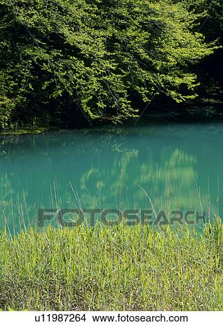 Picture - Ao-numa Pond, Kitashiobara, Fukushima, Japan. Fotosearch