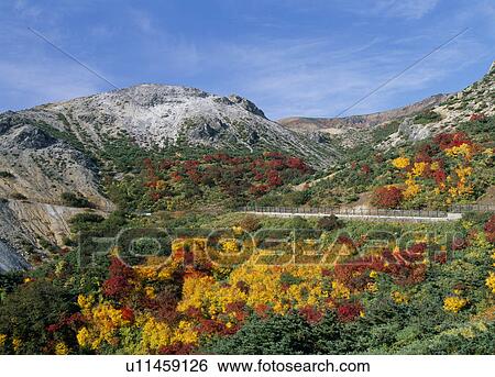 Stock Photograph - Autumn Leaves at Joudo-daira, Fukushima, Fukushima, Japan. Fotosearch