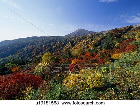 Stock Photo - Autumn Leaves at Tengu Garden, Fukushima, Fukushima, Japan. Fotosearch
