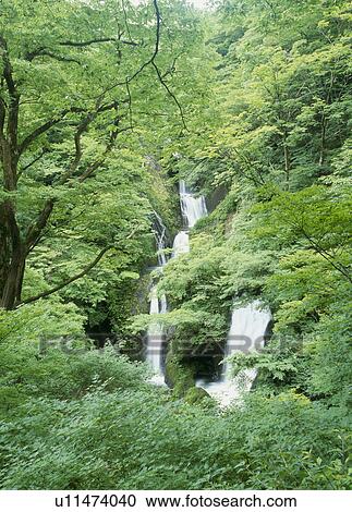 Junitaki Falls, Sakata, Yamagata, Japan View Large Photo Image Stock Image - Junitaki Falls, Sakata, Yamagata, Japan. Fotosearch