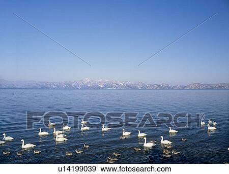 Stock Photo - Lake Inawashiro, Aizuwakamatsu, Fukushima, Japan. Fotosearch