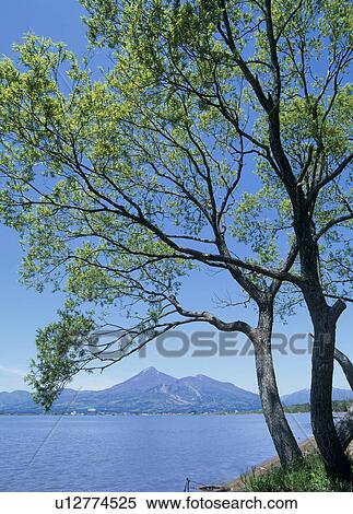 Lake Inawashiro and Bandai Mountain, Inawashiro, Fukushima, Japan View Large Photo Image Stock Photography - Lake Inawashiro and Bandai Mountain, Inawashiro, Fukushima, Japan. Fotosearch