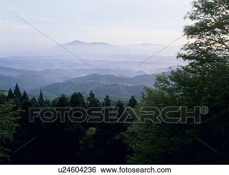 Morning Mist, Tamura, Fukushima, Japan View Large Photo Image Stock Photograph - Morning Mist, Tamura, Fukushima, Japan. Fotosearch