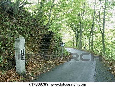 Natagiri-toge, Mogami, Yamagata, Japan View Large Photo Image Stock Photo - Natagiri-toge, Mogami, Yamagata, Japan. Fotosearch