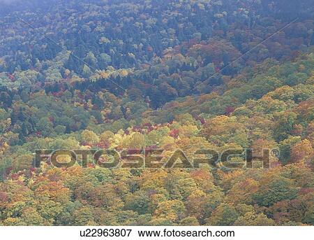 Stock Photo - Nishikidaira, Yonezawa, Yamagata, Japan. Fotosearch