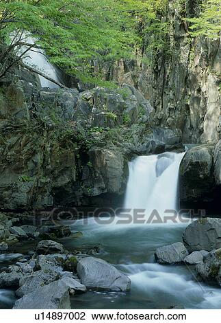 Omoi-no-taki Falls, Fukushima, Fukushima, Japan View Large Photo Image Stock Image - Omoi-no-taki Falls, Fukushima, Fukushima, Japan. Fotosearch