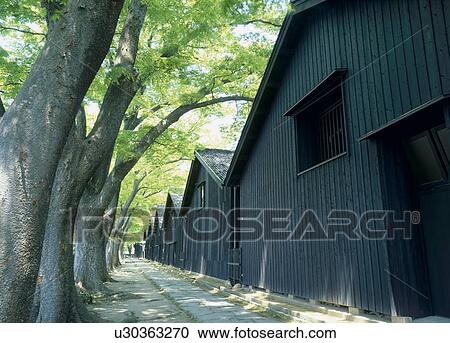 Stock Image - Sankyo Warehouse and Zelkova Tree, Sakata, Yamagata, Japan. Fotosearch
