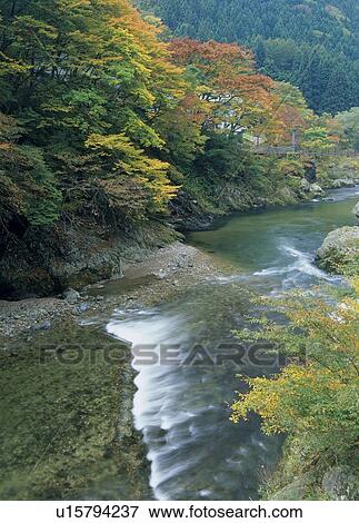 Semi Gorge, Mogami, Yamagata, Japan View Large Photo Image Stock Photo - Semi Gorge, Mogami, Yamagata, Japan. Fotosearch