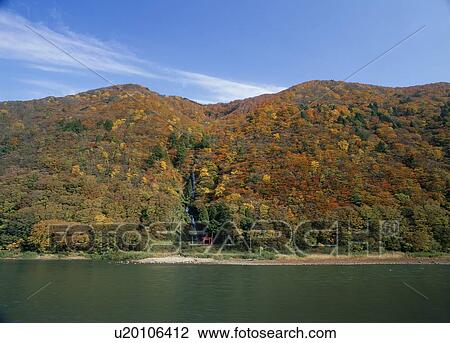 Shiraito Falls, Tozawa, Yamagata, Japan View Large Photo Image Stock Image - Shiraito Falls, Tozawa, Yamagata, Japan. Fotosearch