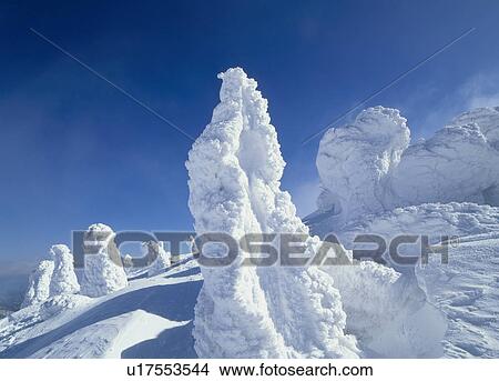 Picture - Snow Monster, Yamagata, Yamagata, Japan. Fotosearch